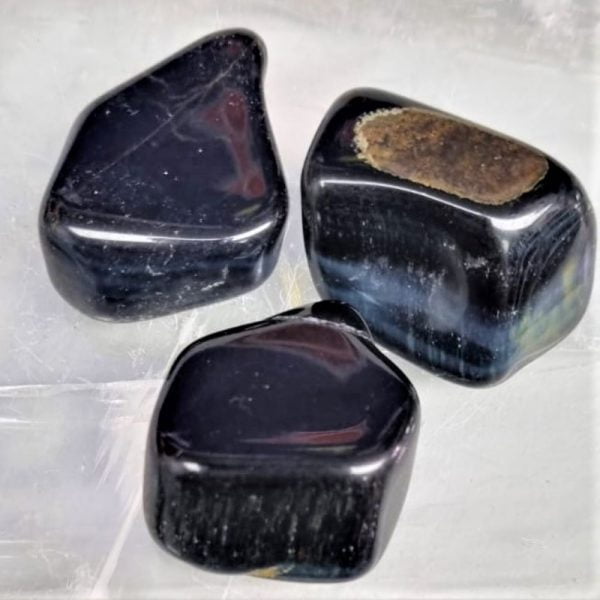 Blue Tigers eye