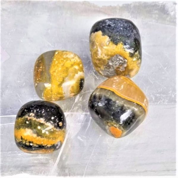 Bumblebee Jasper