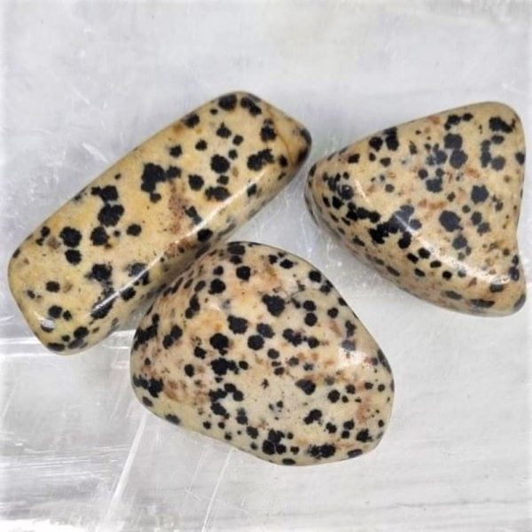 Dalmation Stone