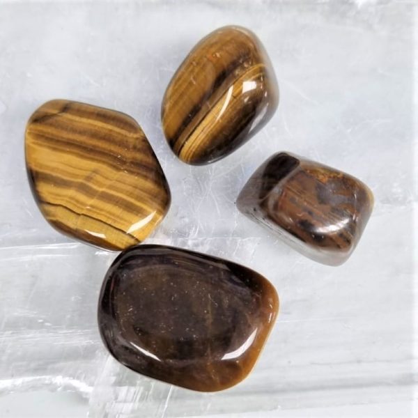 Gold Tigers eye