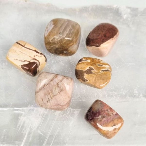 Petrified Wood